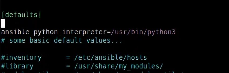 Usr bin python