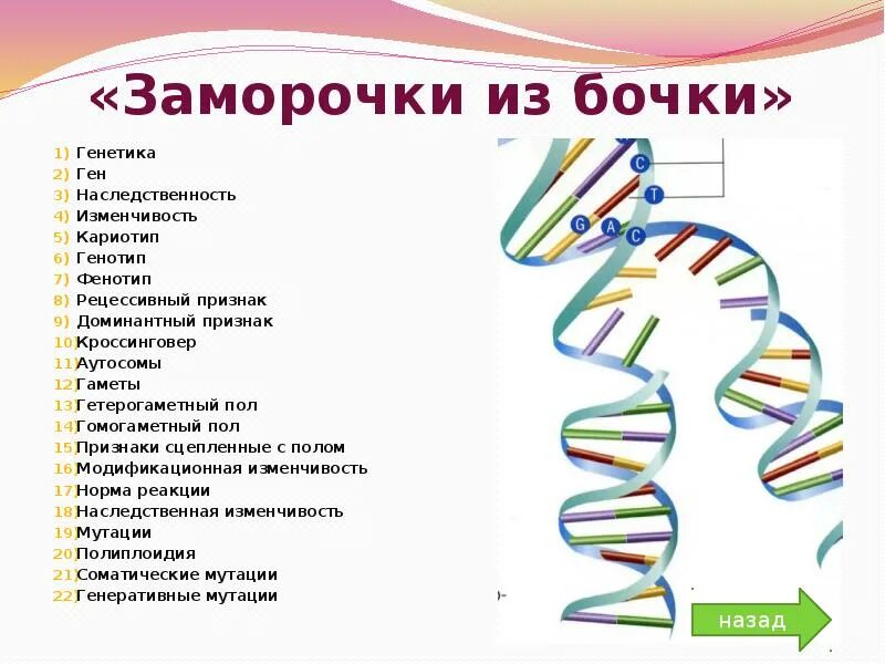 Ген генотип наследственность. Основные понятия генетики. Презентация по генетике. Презентация на тему генетика. Геном генотип кариотип.