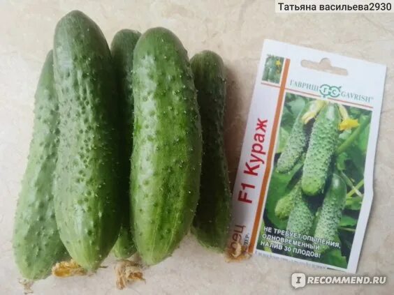 Огурцы Гавриш Огурцов - купить по выгодным ценам в интернет-магазине OZON (13960