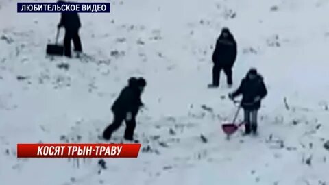 Косим зимой траву
