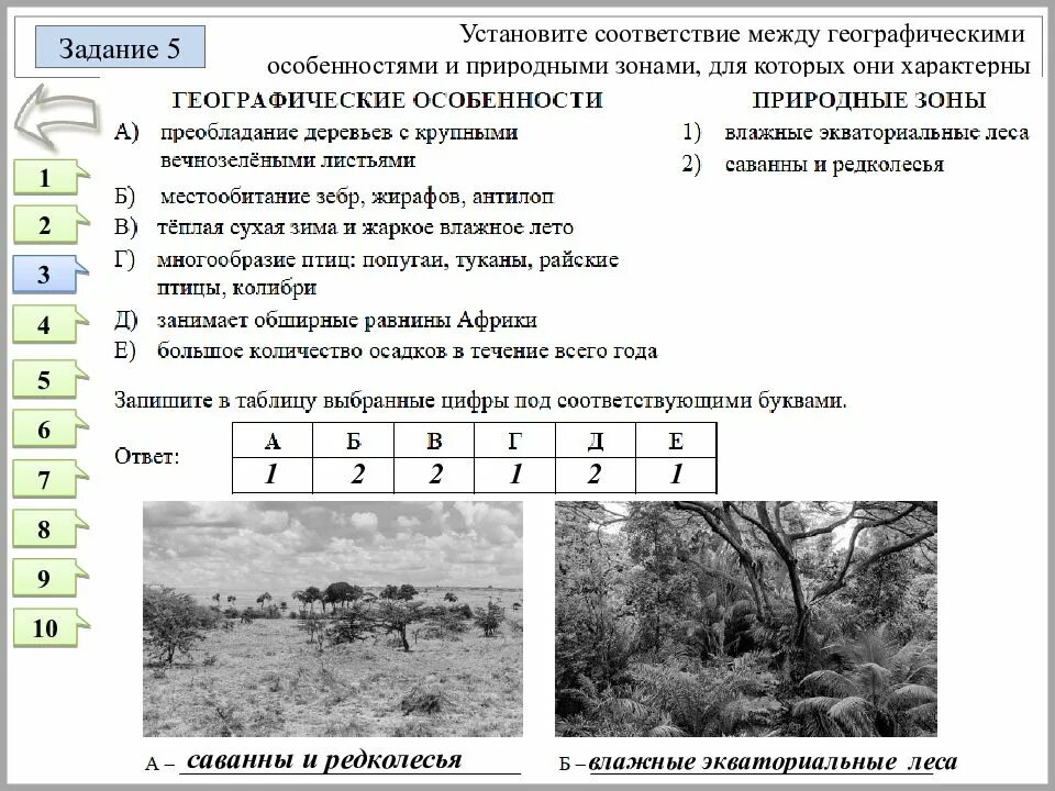 Занимает обширные равнины африки природная зона