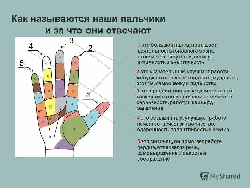 Срредниц палец на право руке. Психосоматика палец на правой руке. Указательный палец правой руки психосоматика. Большой палец правой руки психосоматика. Анализ пальчик