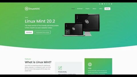 Mint steam
