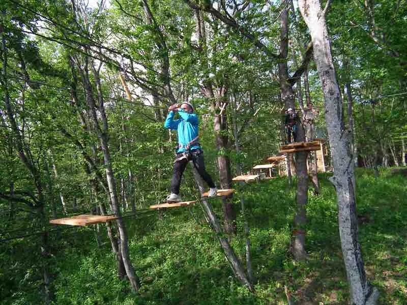 Тетис даховская. Веревочный парк тетис. Веревочный парк адыгея. Веревочный парк тетис в адыгее. Тетис парк адыгея.
