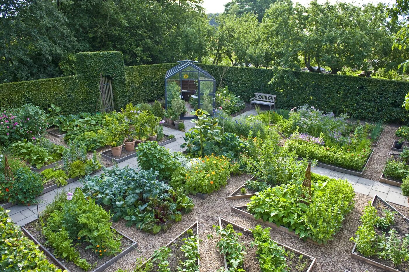 Грядки перфекциониста. Евроогород грядки. Аптекарский огород стрельна. Ленивый огород пермакультура. Размещение сада.