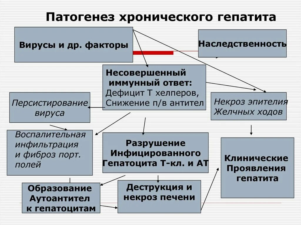 Гепатит а патогенез. Патогенез хронического гепатита схема. Патогенез парентеральных вирусных гепатитов. Патогенез хронического вирусного гепатита. Патогенез вирусного гепатита в схема.