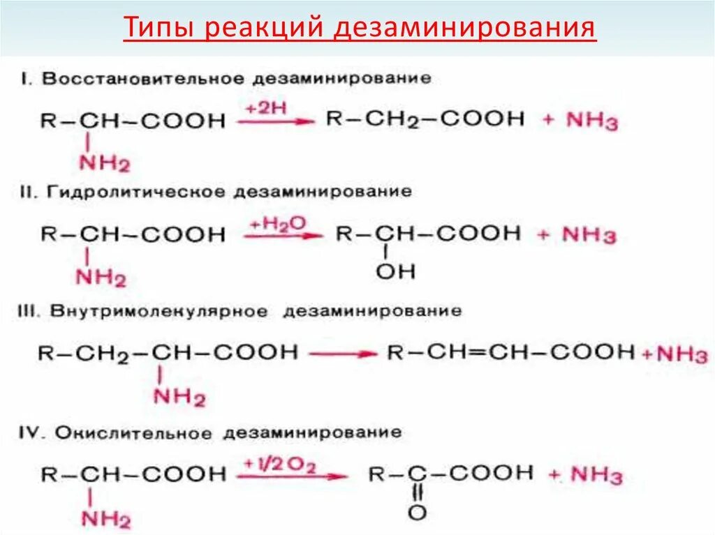 Реакция восстановительного дезаминирования аминокислот. Общая схема дезаминирования аминокислот. Типы дезаминирования аминокислот. Дезаминирование аминокислот виды дезаминирования. Реакция есть значит