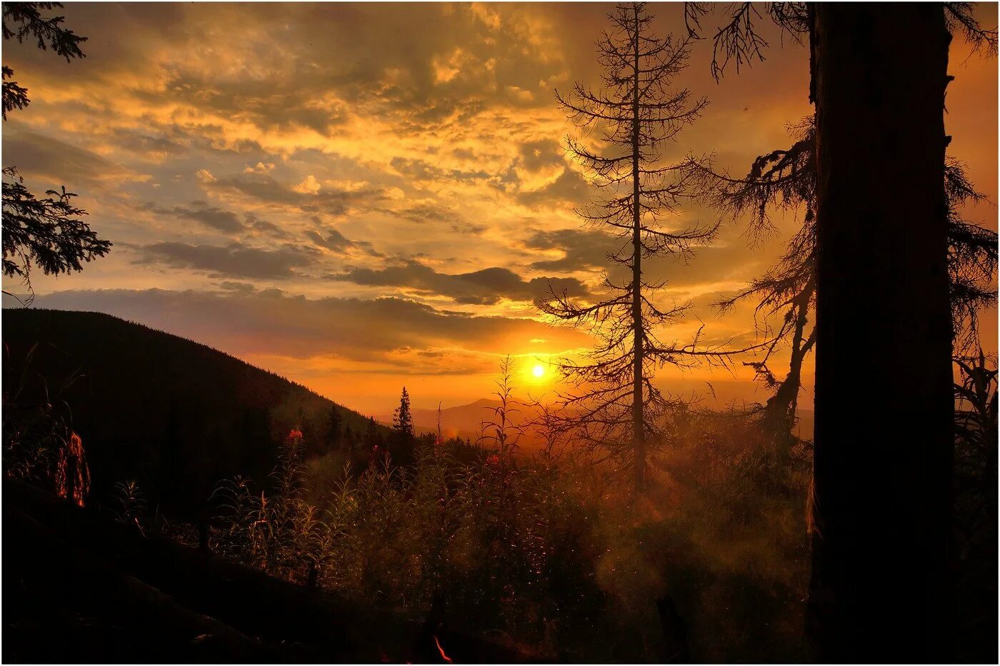 Природа рассвет. Зорька заря. Заход солнца башкирии. Закат в лесу. Пейзажи россии.