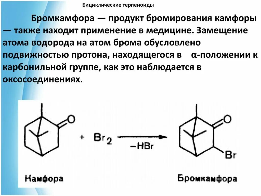 Камфора изопреновые звенья. Бициклические терпеноиды. Камфора применение в медицине. Камфора терпен.