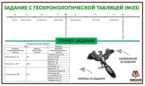 Используя фрагмент геохронологической таблицы установите. Задание на геохронологическую таблицу егэ. геохронологическая шкала таблица егэ. задания по геохронологической таблице егэ биология. задания на геохронологическую таблицу егэ биология.