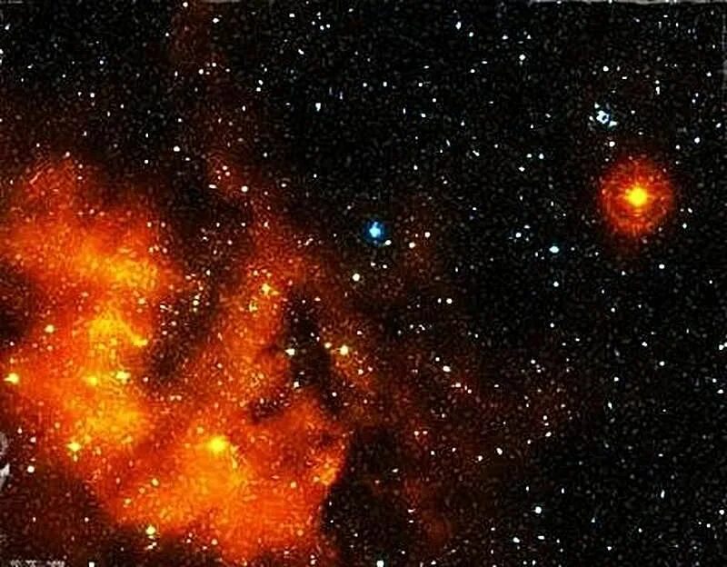 Largest star