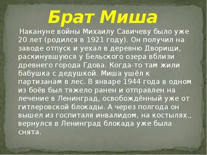 Миши братья
