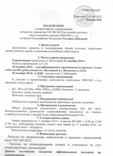 Положение спортивных соревнований это