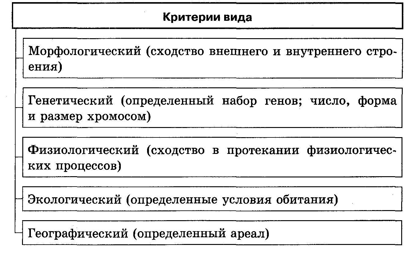 Виды морфологический экологический