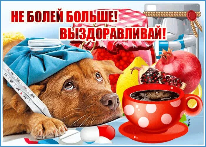 Колышется листва скорейшего выздоровления