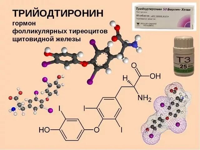 Гормоны щитовидной железы тироксин и трийодтиронин. Трийодтиронин природа гормона. Трийодтиронин гормон формула. Функции гормона трийодтиронина.