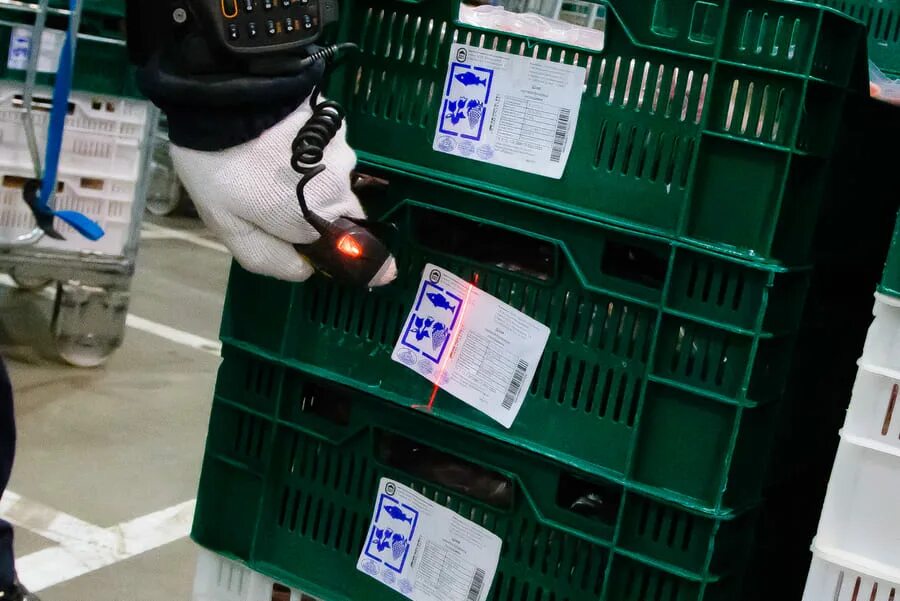 Маркировка на таможенном складе. Таможенная маркировка. Требования к маркировке товара тр тс. Таможенная маркировка. Маркировка товара для таможни.