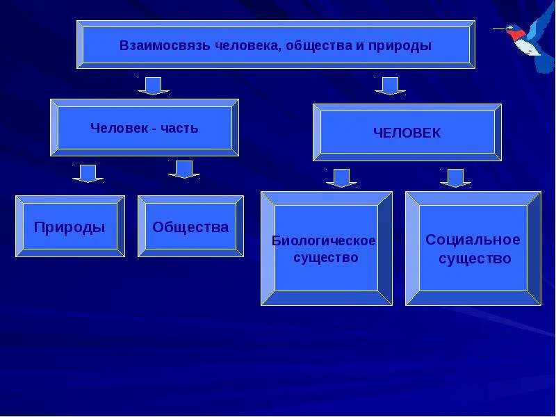Человек и общество урок. Человек общество природа. человек общество природа обществознание. человек общество природа презентация. природа человека обществознание.