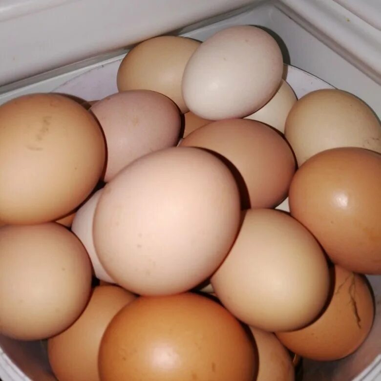 Яйцо куриное. Домашние яйца. Домашние яйца вид. Настоящие яйца.