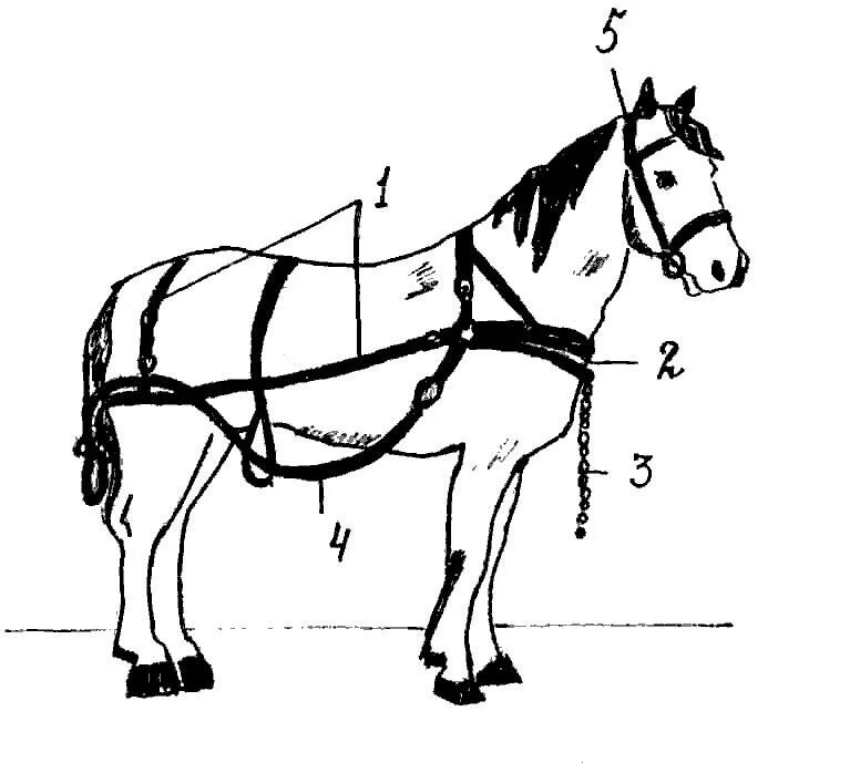 Упряжь Пароконная упряжь. Конская упряжь хомут упряжь. Одноконная дуговая упряжь. Запряжка лошадей части. Часть упряжи 5