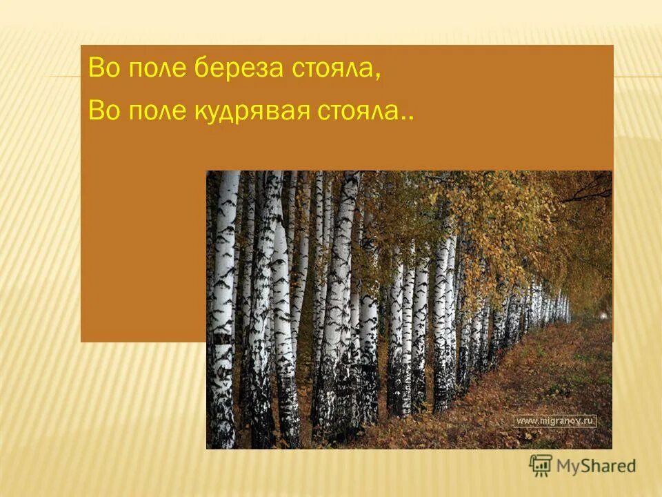 поле береза стояла поле кудрявая стояла. во поле береза стояла текст.