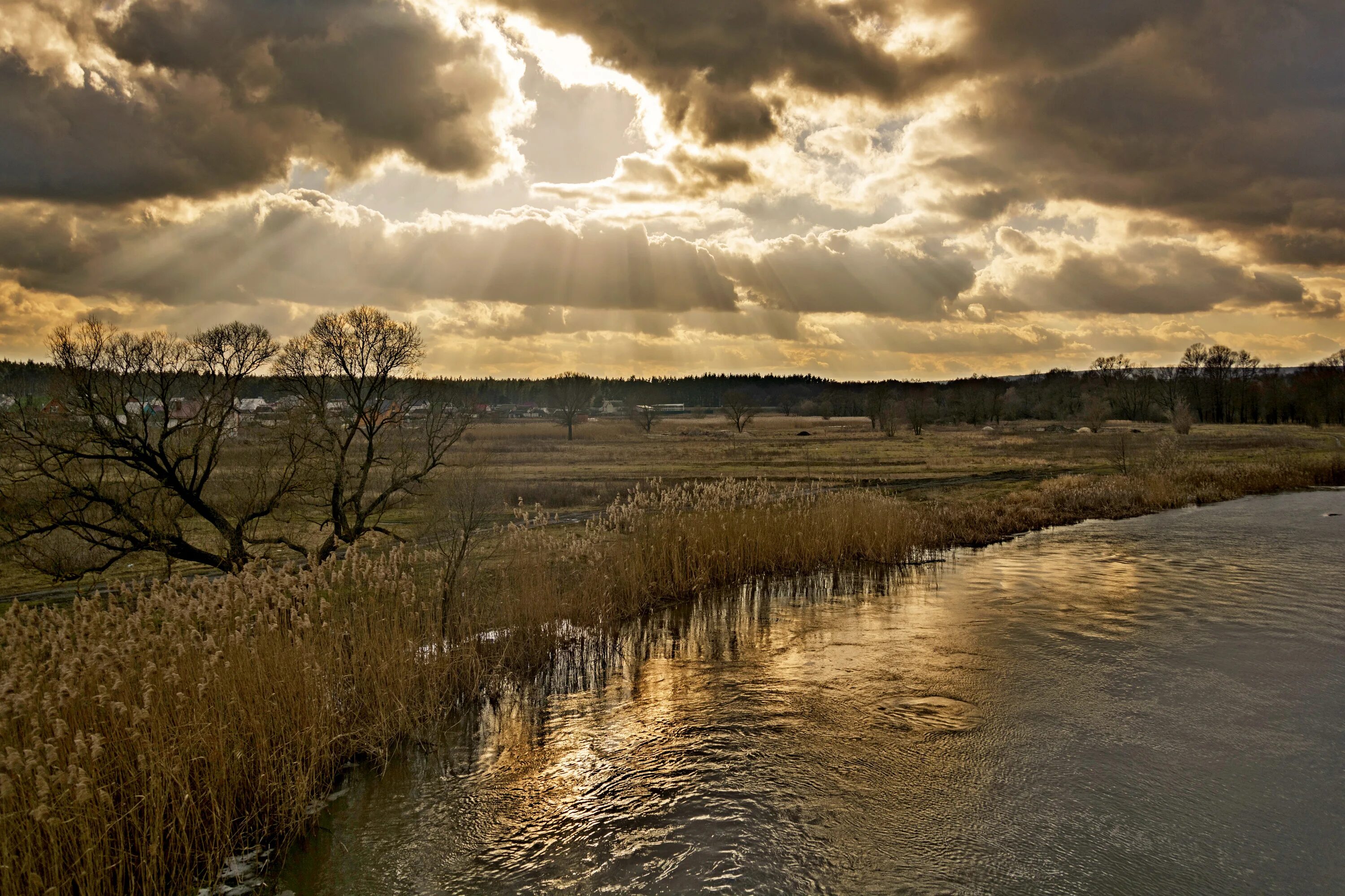 M8l8th нежеголь wotanjugend. Нежеголь зори. Нежеголь асгарда рейд. Нежеголь зори. Нежеголь зори.