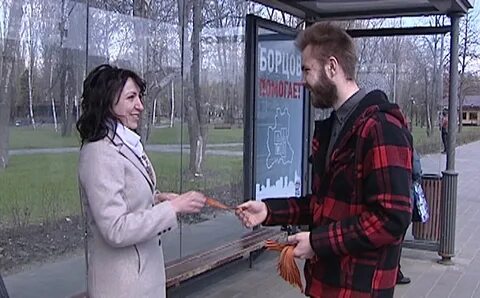 Зе вайпер липецк