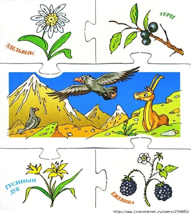 Растительный мир рисунки для детей. Растительный мир для дошкольников. Игра «растительный мир». Игра мир растений. Мир растений игры