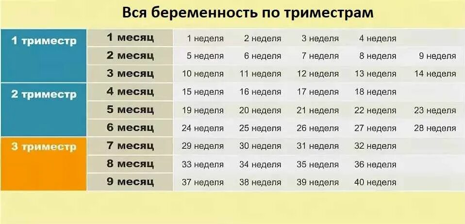 37 недель беременности сколько месяцев