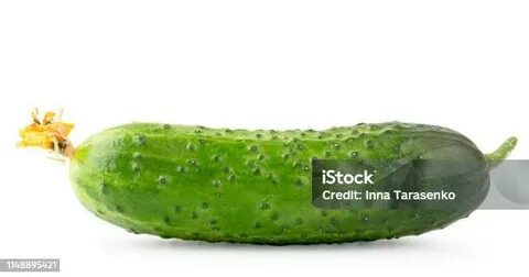 Смотреть жалаңаш Алена Винницкая порно видео онлайн