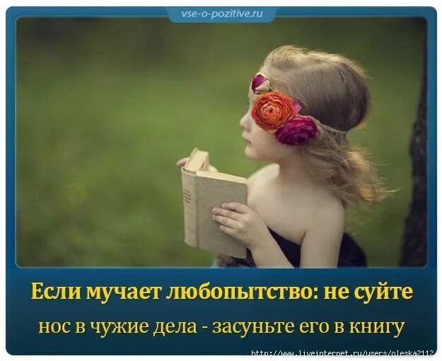 Она вспомнила каким любопытством. Любопытный прикол. Шутки про любопытство. Верность дело совести а измена дело времени. Она вспомнила каким любопытством.