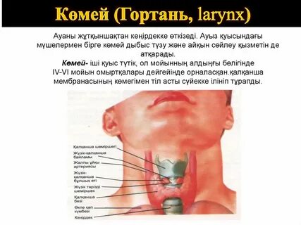 Повреждение гортани