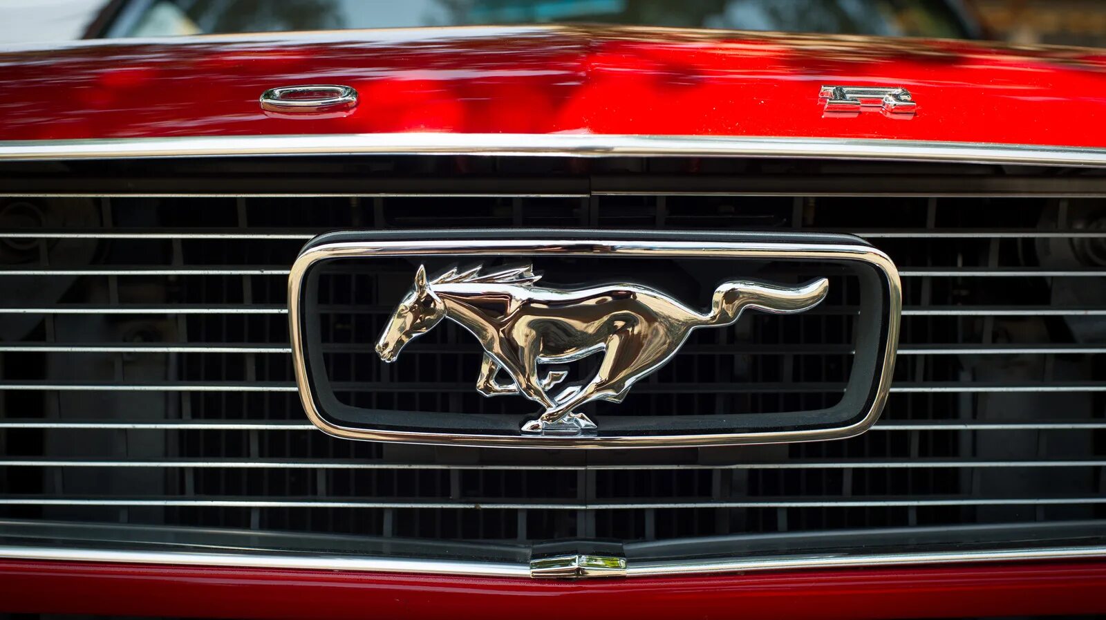 Curbside Classic: 1979 Ford Mustang - A New Hope - Curbside Classic
