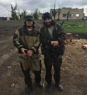 Сводки ополчения