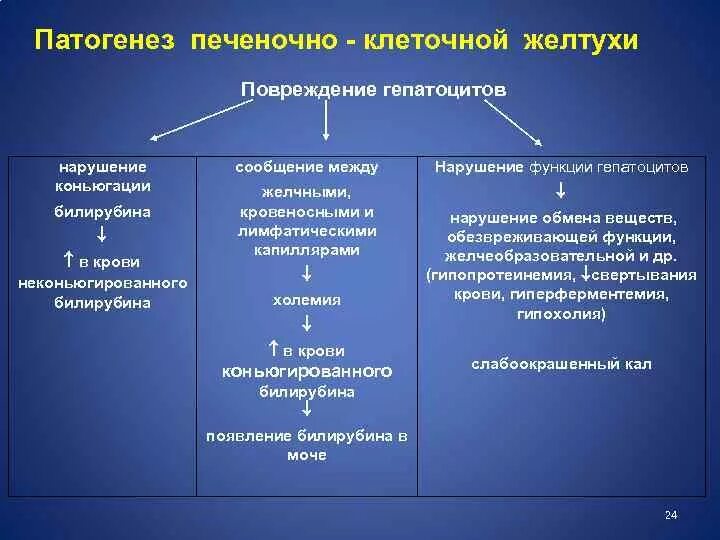 Печеночная желтуха билирубин. Печеночная желтуха билирубин