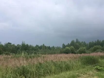 Веретье рязанская область спасский
