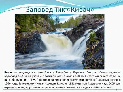 Заповедник в карелии 4 буквы
