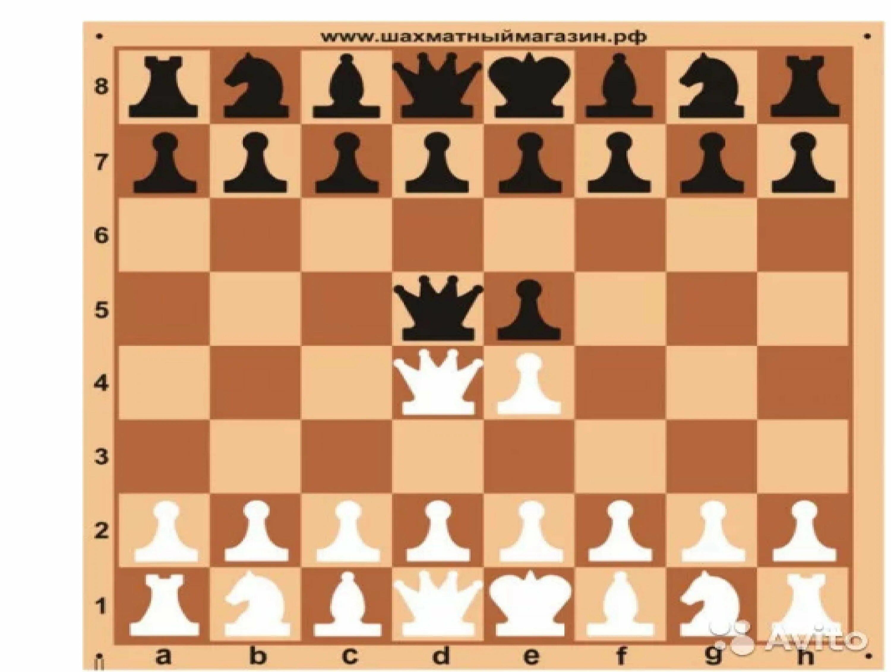 Шахматы расставить фигуры на доске. Расстановка шахмат Король. Расстановка шахматных фигур Король. Расстановка шахматных фигур на доске. Правильная расстановка фигур в шахматах.