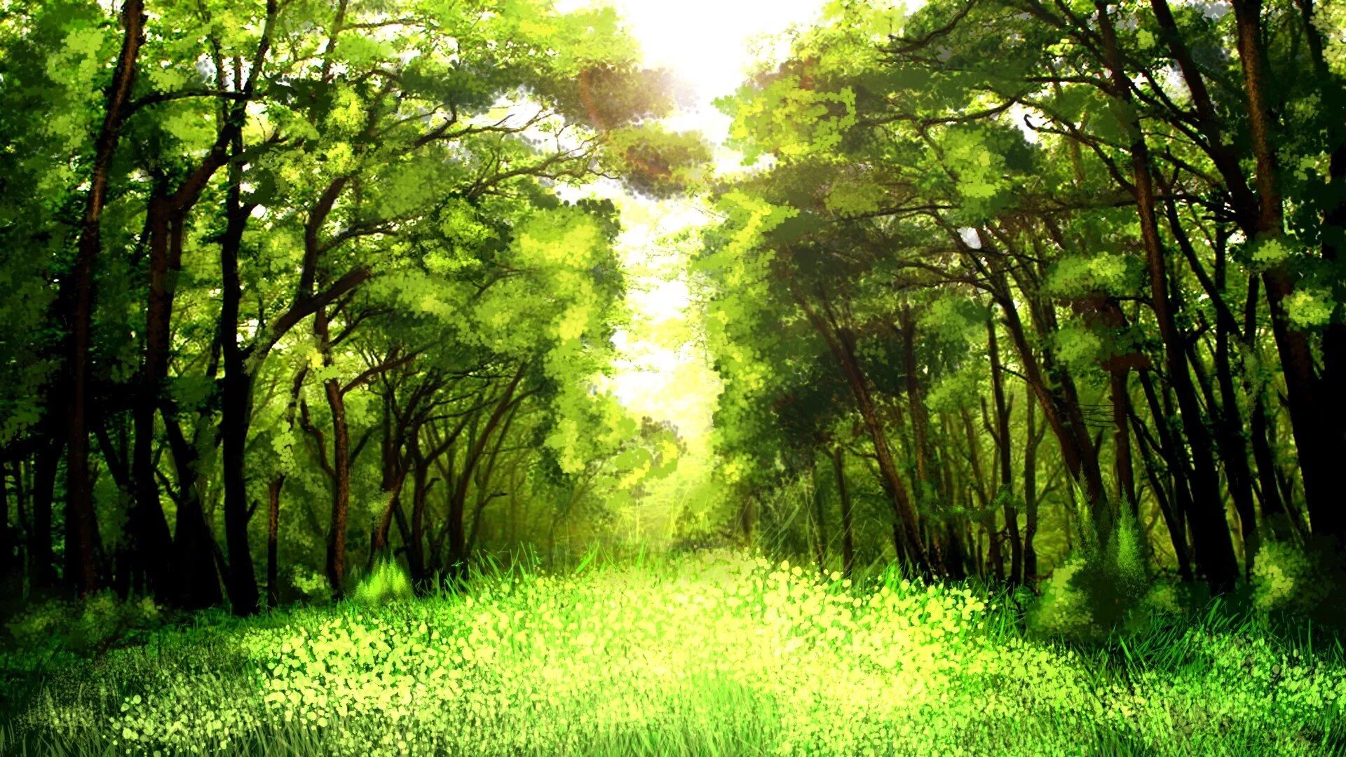 Красивый лес. Летний лес. Фон леса. Зеленая природа.
