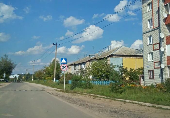 Г рогачев ул богатырева 157. Улицы рогачева. Богатырева 115б рогачев. Гоголя 73. Улицы рогачева.