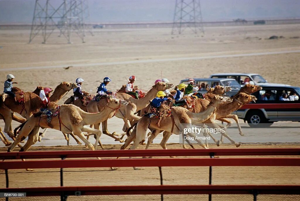 Скачки dubai world cup. Арабские эмираты верблюжьи бега. Ипподром мейдан. Скачки dubai world cup carnival 2022. Ипподром мейдан дубай.
