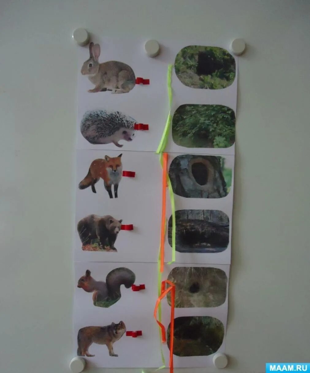 Теремкова логопедические домашние задания дикие животные. Проект дикие животные старшая группа. Аппликация "мир животных". Аппликация животные африки в старшей группе. Конспект занятия животный мир подготовительная группа.