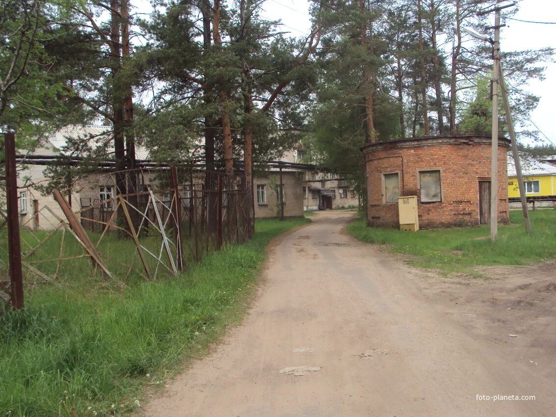 Пвр царицыно озеро. Царицыно озеро Тихвинский район пансионат. Поселок Царицыно озеро Тихвинский район. Озеро Царицыно Ленинградская область. Поселок Царицыно озеро огонек.