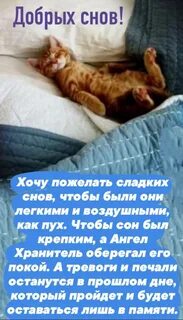 Сладкий сон жизни