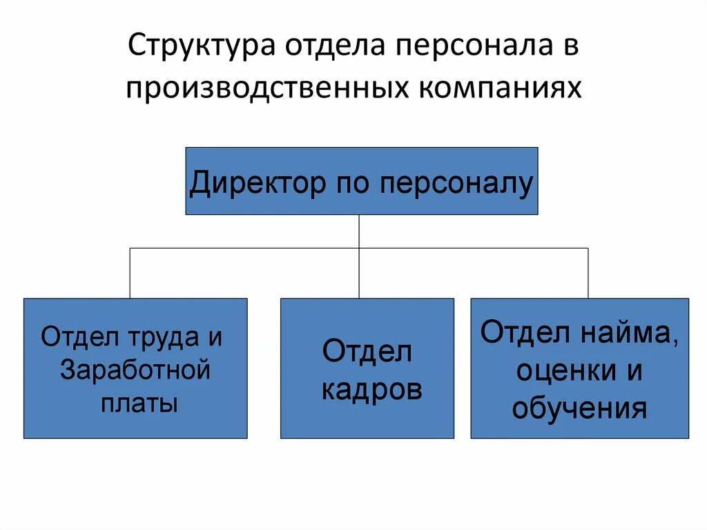 Состав отдела кадров