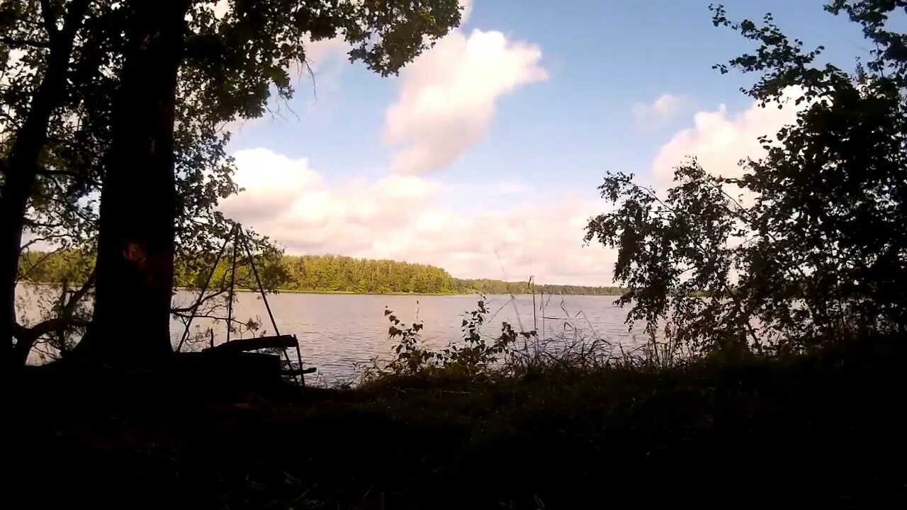 Отчет истринское водохранилище. Армягово Истринское водохранилище. Истра водохранилище. Нептун-2 Истринское водохранилище. Истра водохранилище пляж.