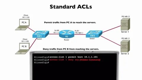 Host 101