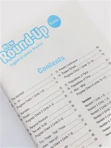 New round up grammar practice