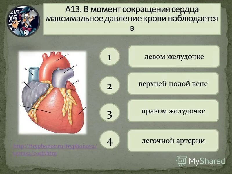 Максимальное давление наблюдается в. В момент сокращения сердца максимальное давление крови наблюдается в. момент сокращения сердца. в момент сокращения левого желудочка сердца. давление в камерах сердца.