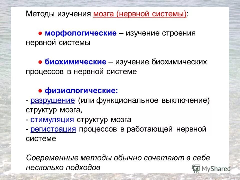 Методы исследования цнс физиология. Методики исследования нервной системы. Методики исследования нервной системы. Функциональные методы исследования цнс. Современные методы исследования функций цнс.